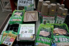 種まきの準備