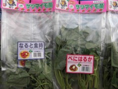 サツマイモ苗