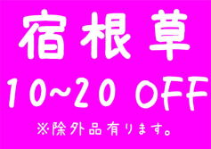 セール情報！