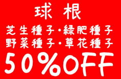 セール情報！