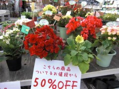 50%OFF