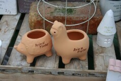 動物ポット