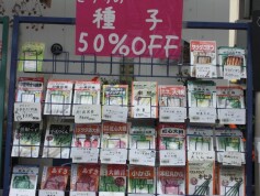 ラストです！