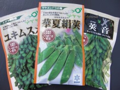 雪印のタネ