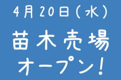 苗木売場オープン！