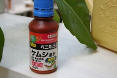 ベニカＳ乳剤