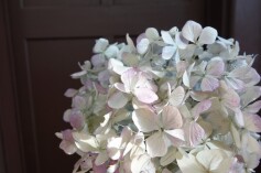 冬の楽しみ