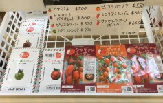 ミニトマト