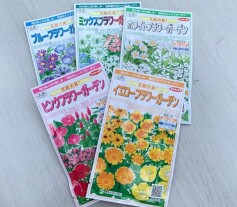 花の種