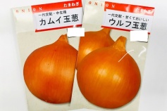 タマネギ