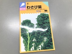 わさび菜