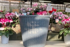 ボンリアンハンドル