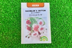 コーンフラワー　エンジェルブーケ