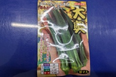 オクラ種子 大奥