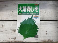 大葉青しそ