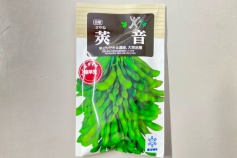 エダマメ 莢音