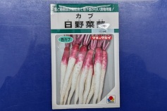日野菜蕪
