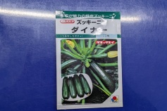ズッキーニ　ダイナー
