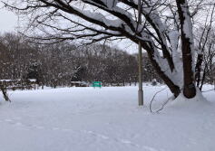 2月の写真