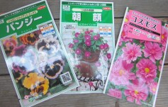 花のタネ